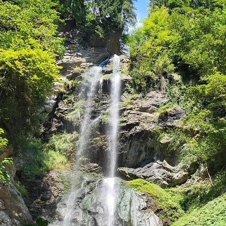 Daire Gartenappartement Hermagor-nassfeld Hermagor-Pressegger See