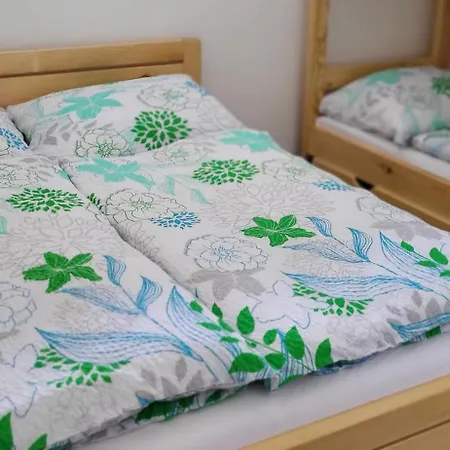 Gartenappartement Hermagor-nassfeld 公寓 黑马戈尔