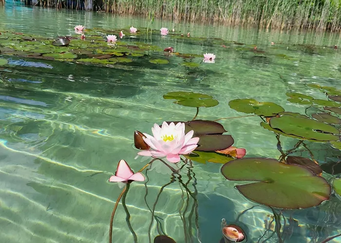 Gartenappartement Hermagor-nassfeld דירה *